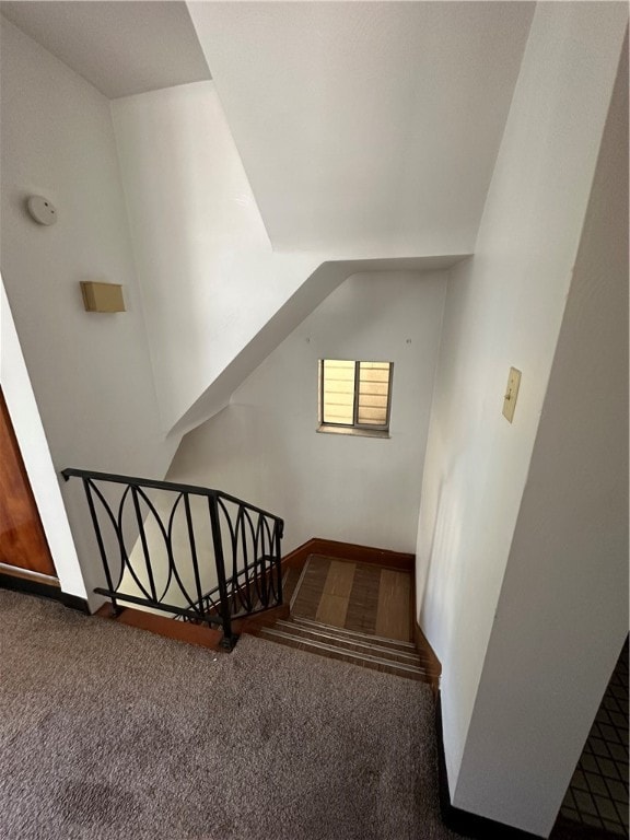 stairs with carpet floors