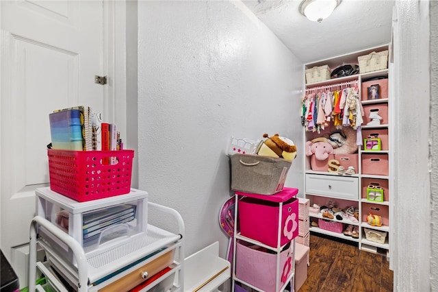 walk in closet with hardwood / wood-style flooring