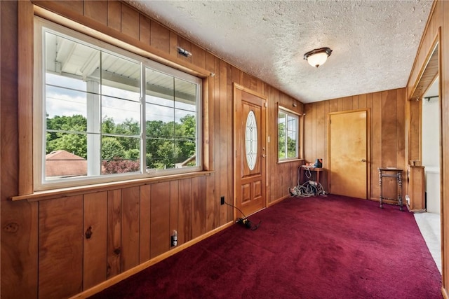 entryway with a wealth of natural light, wooden walls, a textured ceiling, and carpet flooring