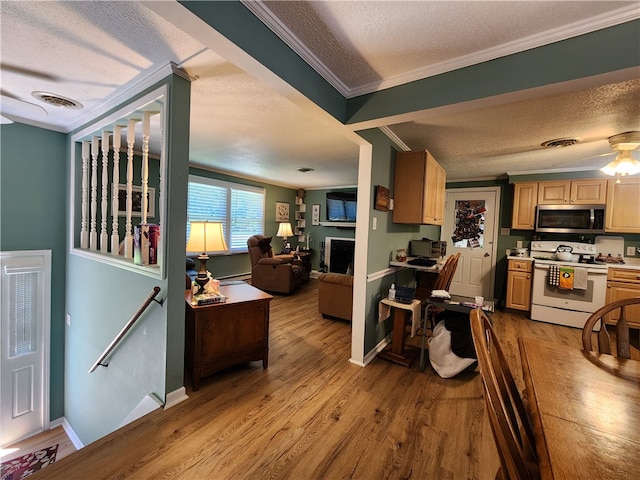 dining space with light wood-type flooring, ornamental molding, and a textured ceiling