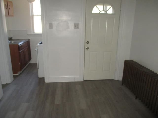 entryway featuring dark wood-style flooring and radiator heating unit