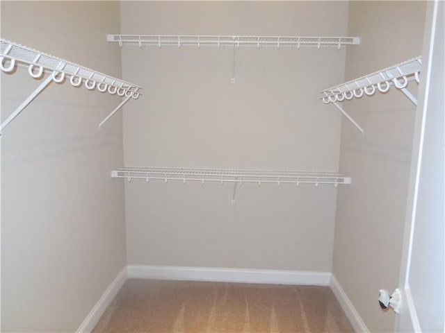 walk in closet featuring light colored carpet