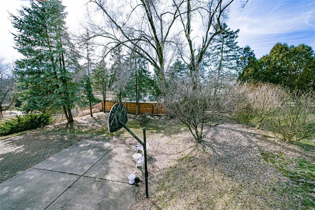 view of yard featuring a fenced backyard and a patio area