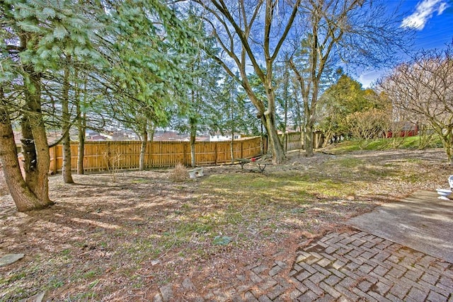 view of yard featuring a fenced backyard