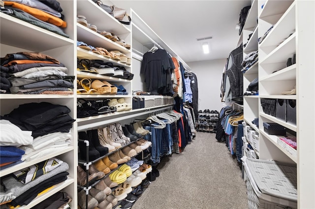 spacious closet featuring carpet floors