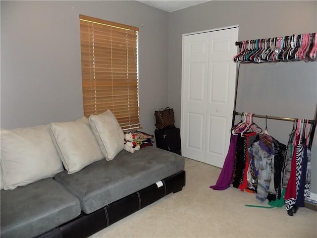 bedroom with a closet and light colored carpet