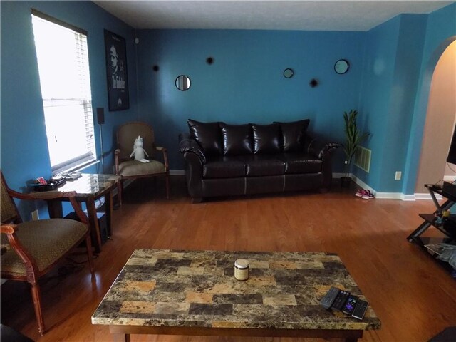 living room featuring hardwood / wood-style flooring