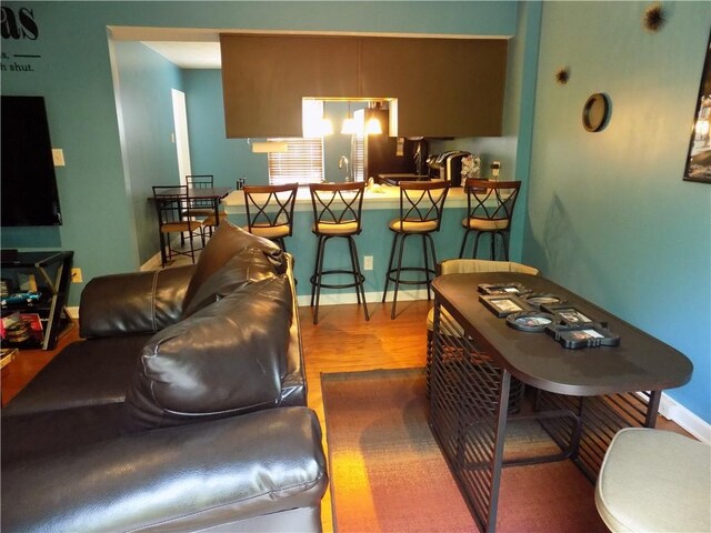 living room featuring sink and wood-type flooring