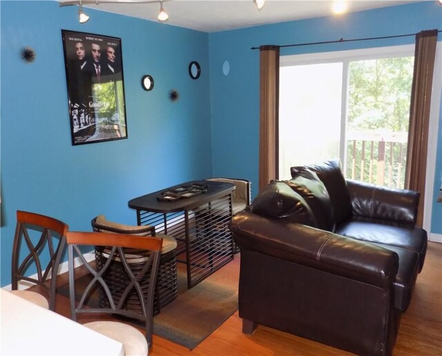 living room with hardwood / wood-style flooring