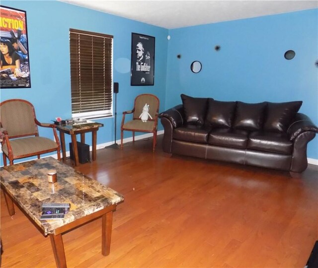 living room with hardwood / wood-style flooring