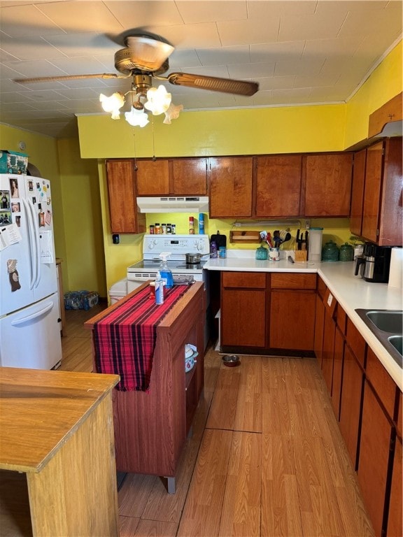 kitchen featuring ceiling fan, light hardwood / wood-style floors, white appliances, and sink