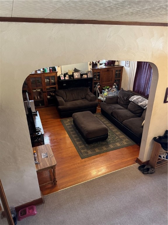 living room with wood-type flooring