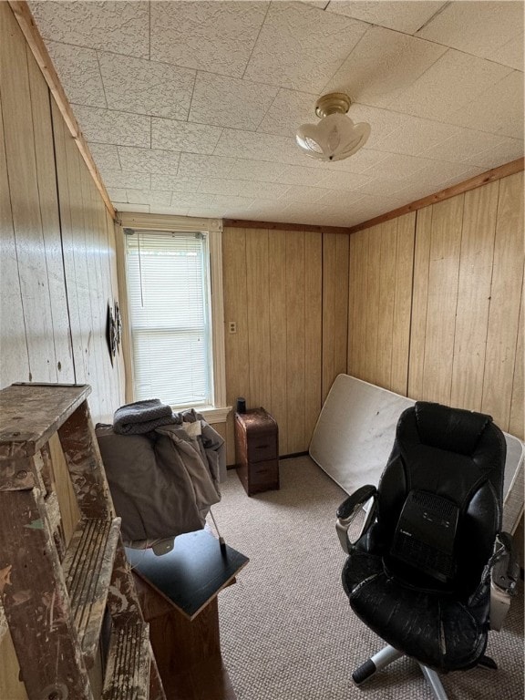 interior space with carpet and wood walls