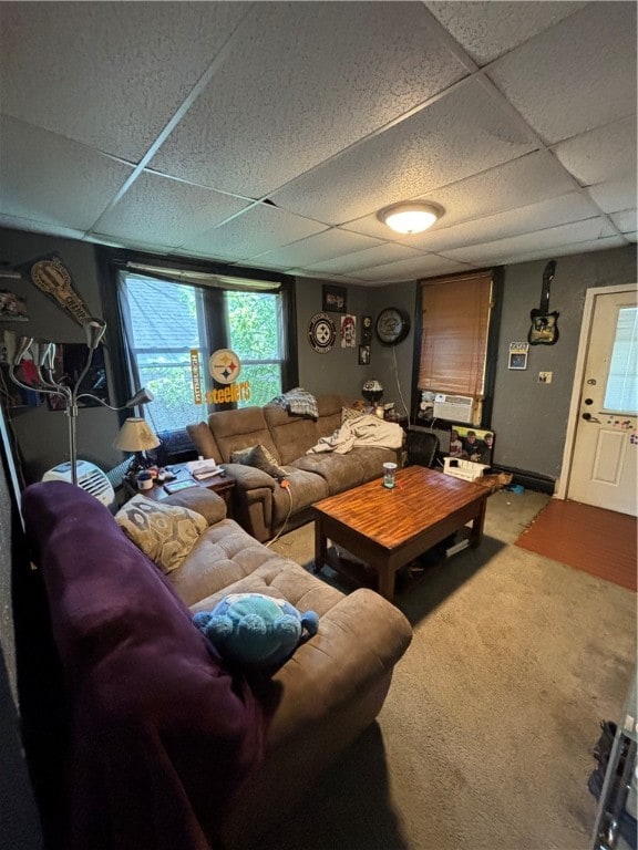 living room featuring a drop ceiling and carpet