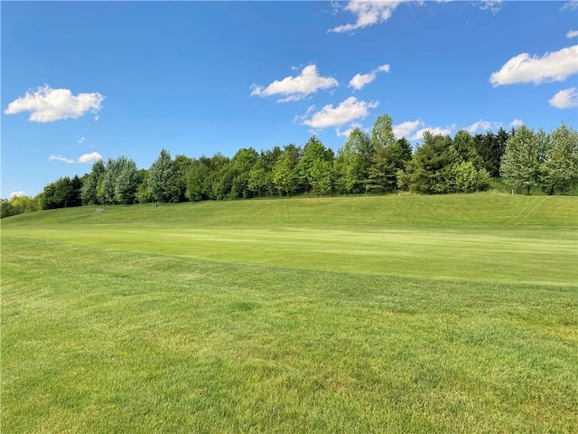 view of property's community with a yard