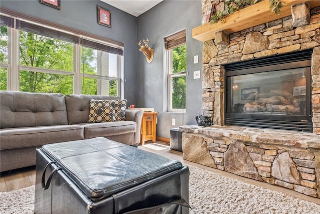 interior space with hardwood / wood-style flooring and a stone fireplace