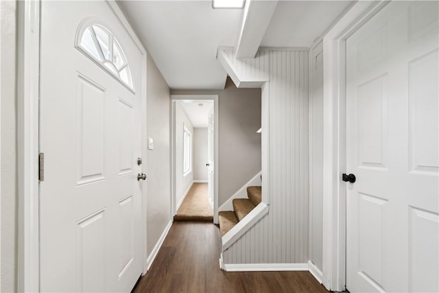 entrance foyer featuring dark wood-type flooring