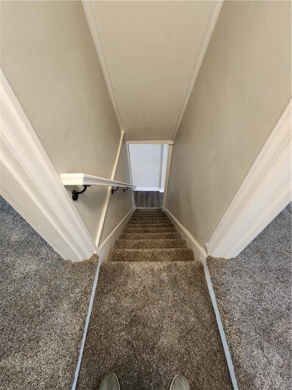 stairway with carpet floors