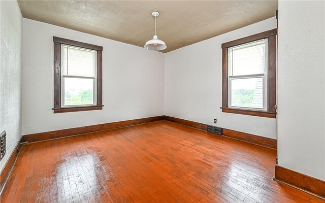 spare room featuring wood-type flooring and plenty of natural light