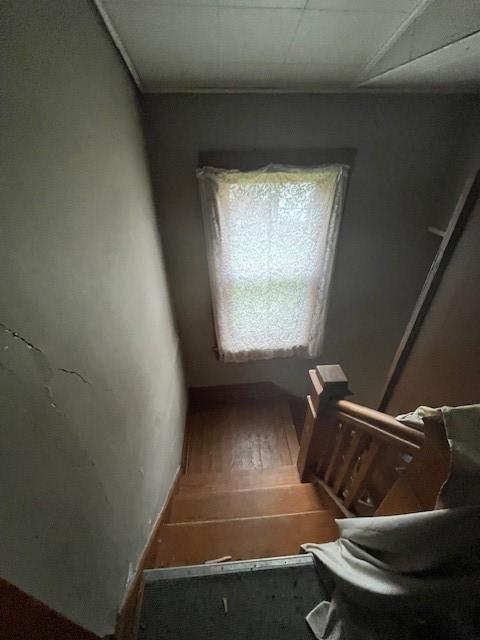 stairway with hardwood / wood-style floors