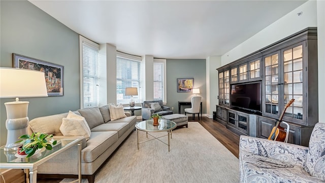 living room featuring dark wood-type flooring