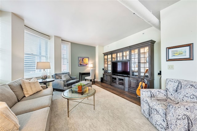 living room featuring hardwood / wood-style floors