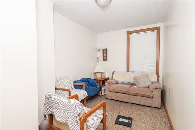 carpeted living room with a textured ceiling