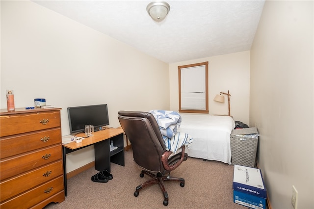 view of carpeted office space