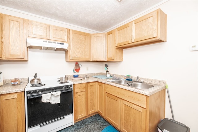 kitchen featuring wall chimney range hood, sink, light brown cabinetry, and white range with electric stovetop