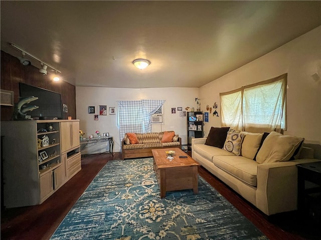 living room featuring dark hardwood / wood-style flooring and rail lighting