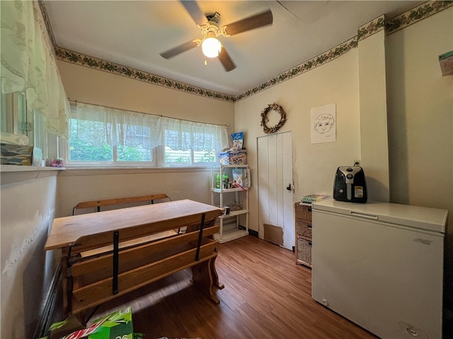 bedroom with wood-type flooring and ceiling fan