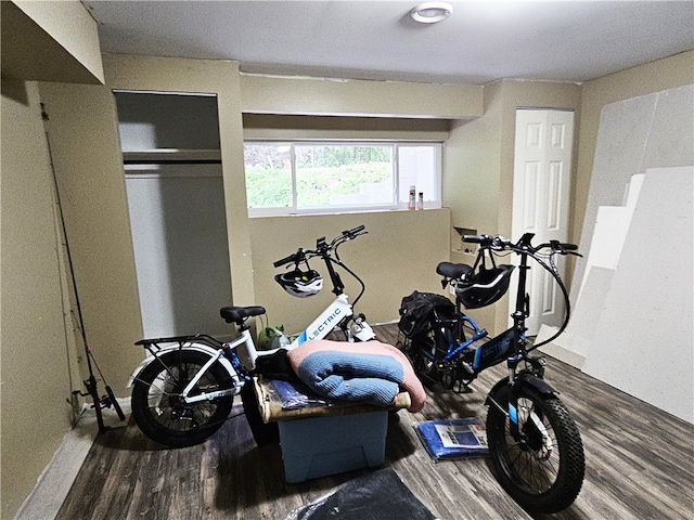 workout area featuring hardwood / wood-style flooring