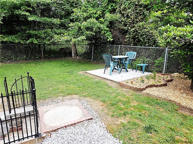 view of yard featuring a patio area