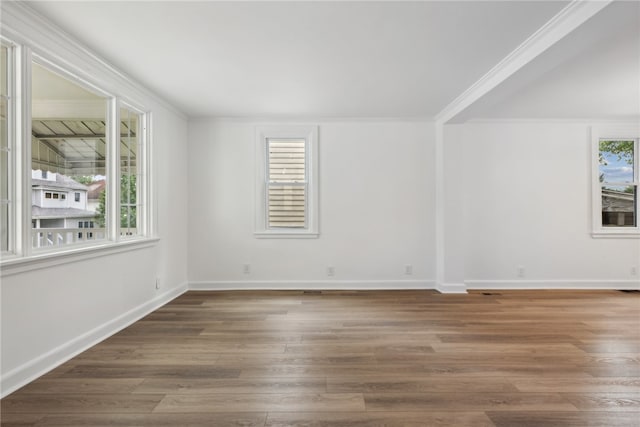 spare room with a wealth of natural light, ornamental molding, and hardwood / wood-style flooring