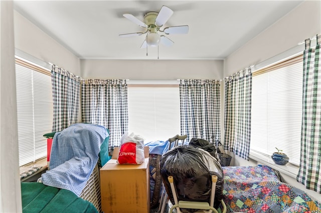 interior space with ceiling fan and a healthy amount of sunlight