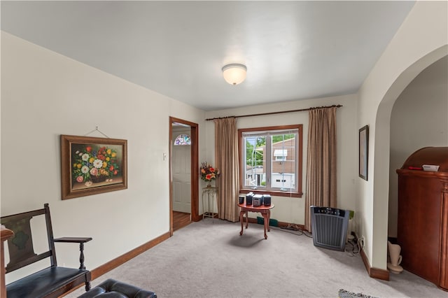 sitting room featuring carpet flooring