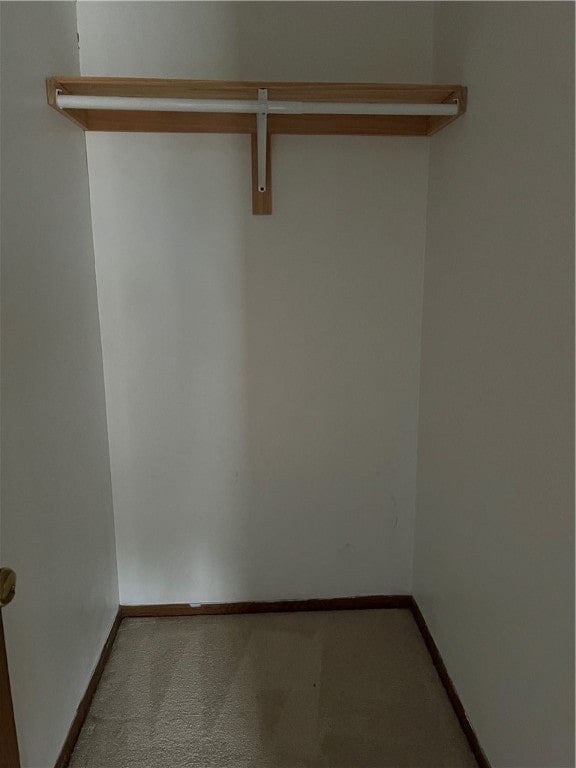 walk in closet with light colored carpet