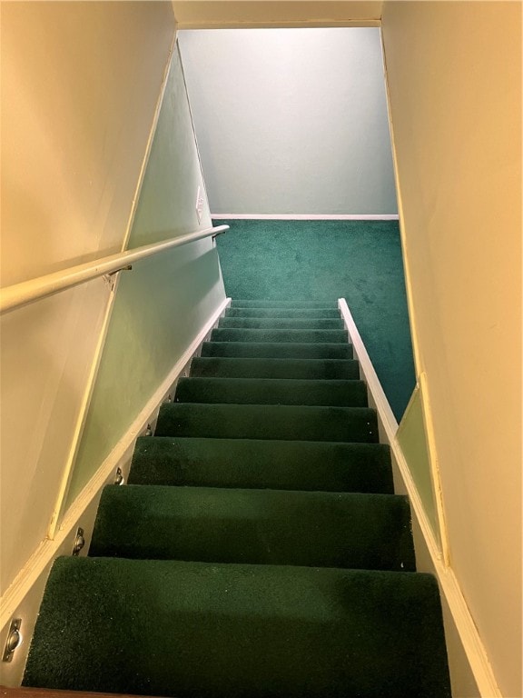 staircase featuring carpet floors