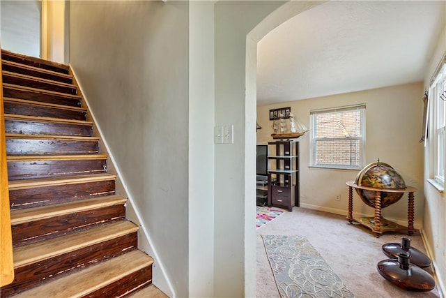 stairway featuring carpet flooring