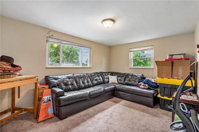 view of carpeted living room