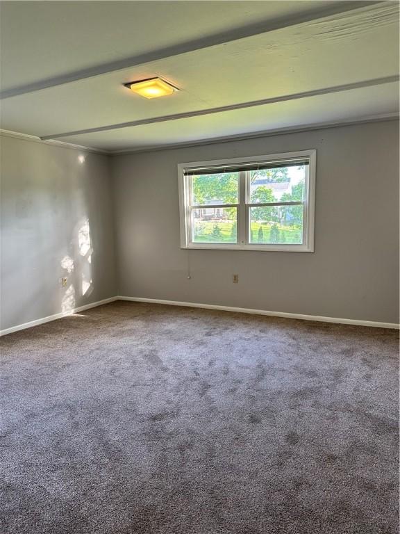 empty room featuring carpet floors