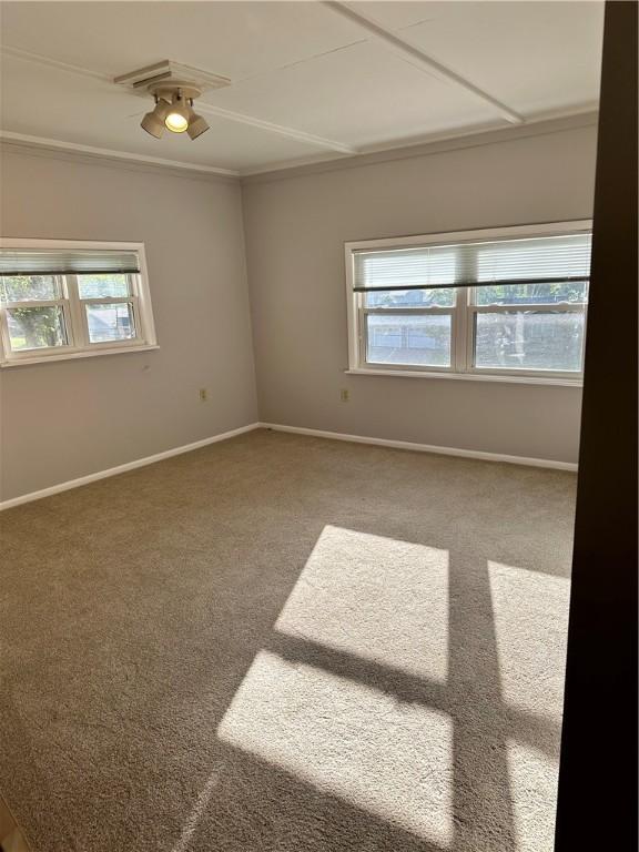 spare room featuring carpet floors and ceiling fan