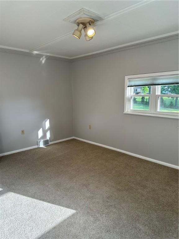 spare room with carpet