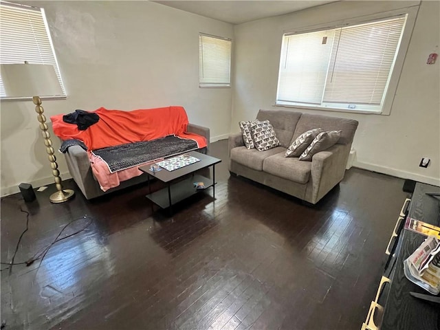 living room featuring dark wood-type flooring