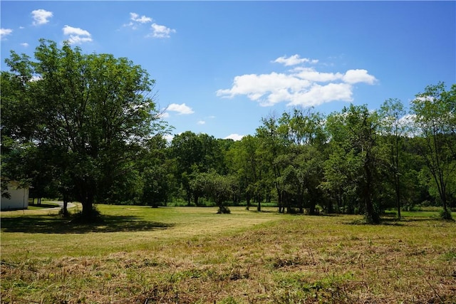 view of local wilderness