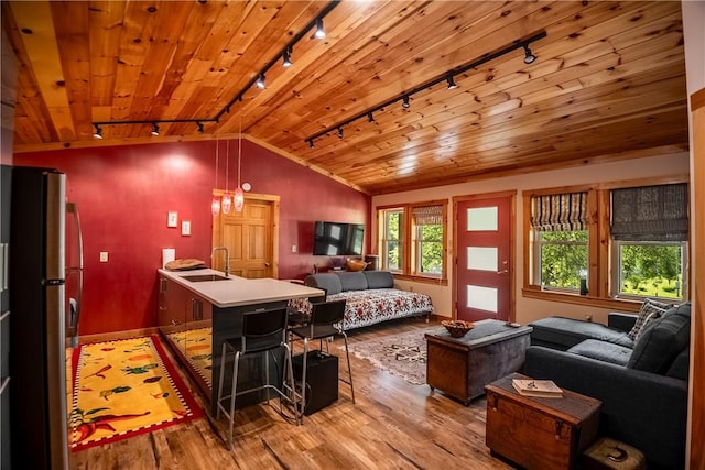 470 Truitt Rd, Pa, PA 16374 - bedroom with track lighting, freestanding refrigerator, light wood-style flooring, lofted ceiling, and a sink