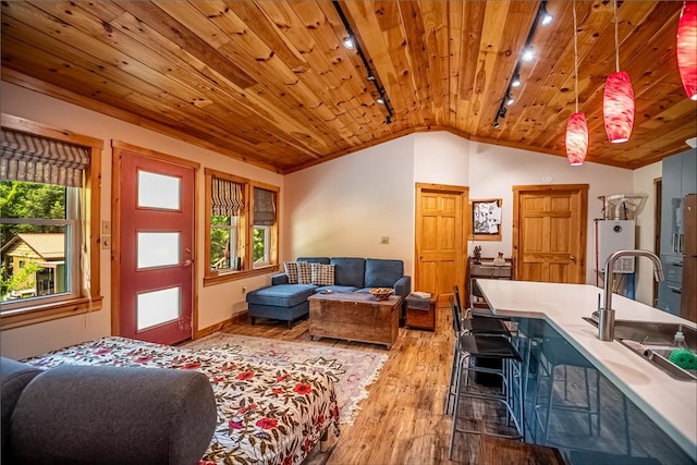 470 Truitt Rd, Pa, PA 16374 - living area with vaulted ceiling, light wood finished floors, healthy amount of natural light, track lighting, and wood ceiling