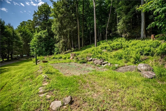 470 Truitt Rd, Pa, PA 16374 - view of yard with a forest view