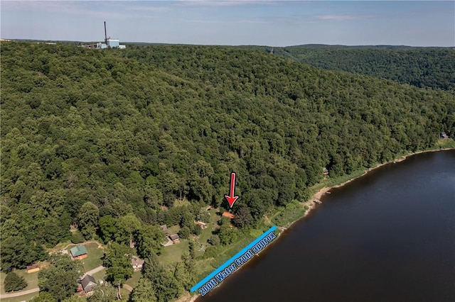 470 Truitt Rd, Pa, PA 16374 - drone / aerial view of a forest and a large body of water