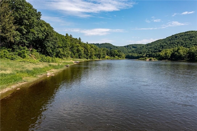 470 Truitt Rd, Pa, PA 16374 - water view featuring a forest